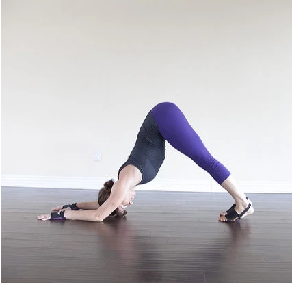 How to Dolphin Pose